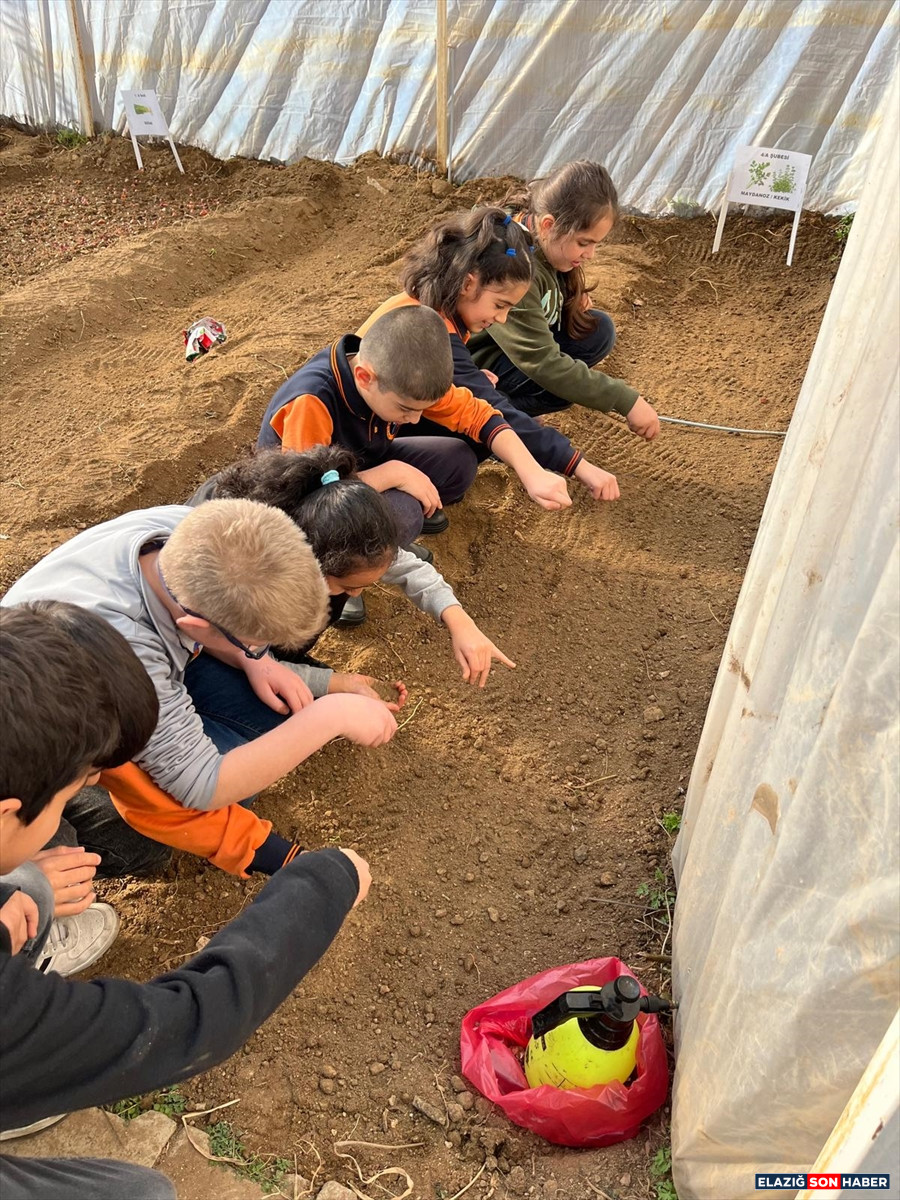 A A 20260115 40263943 40263941 K E B A N D A O G R E N C I L E R S E R A D A T O H U M L A R I T O P R A K L A B U L U S T U R D U