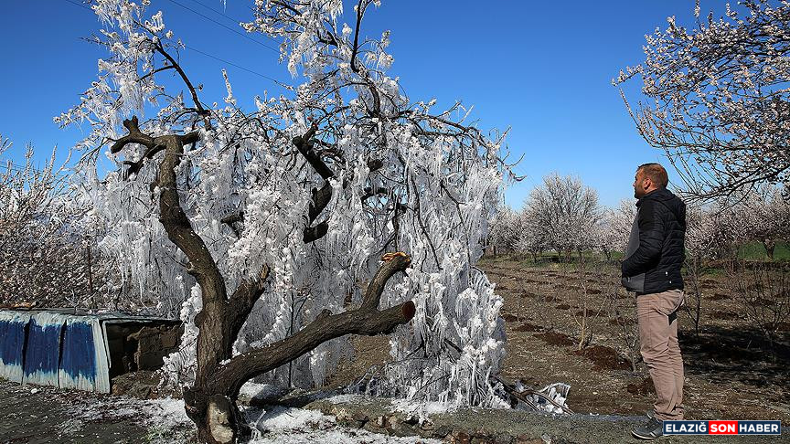 Thumbs B C D4Ce0F845Cb6Eef927Dff4C53Cc289A6