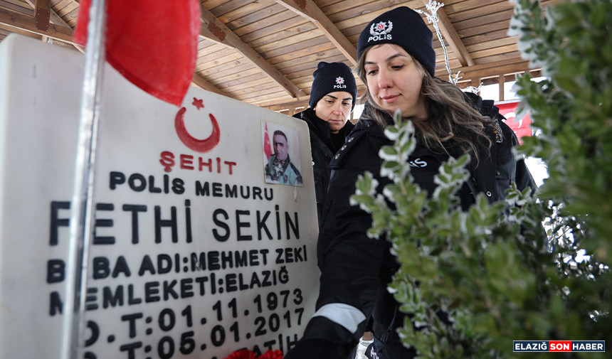 Untitled 1 Copy.jpgghjgjgfjfgj