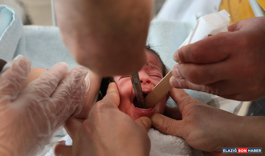 Untitled 1.Jpgghkgkgk-2