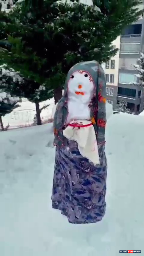 Vlcsnap 2026 01 01 18H07M39S350