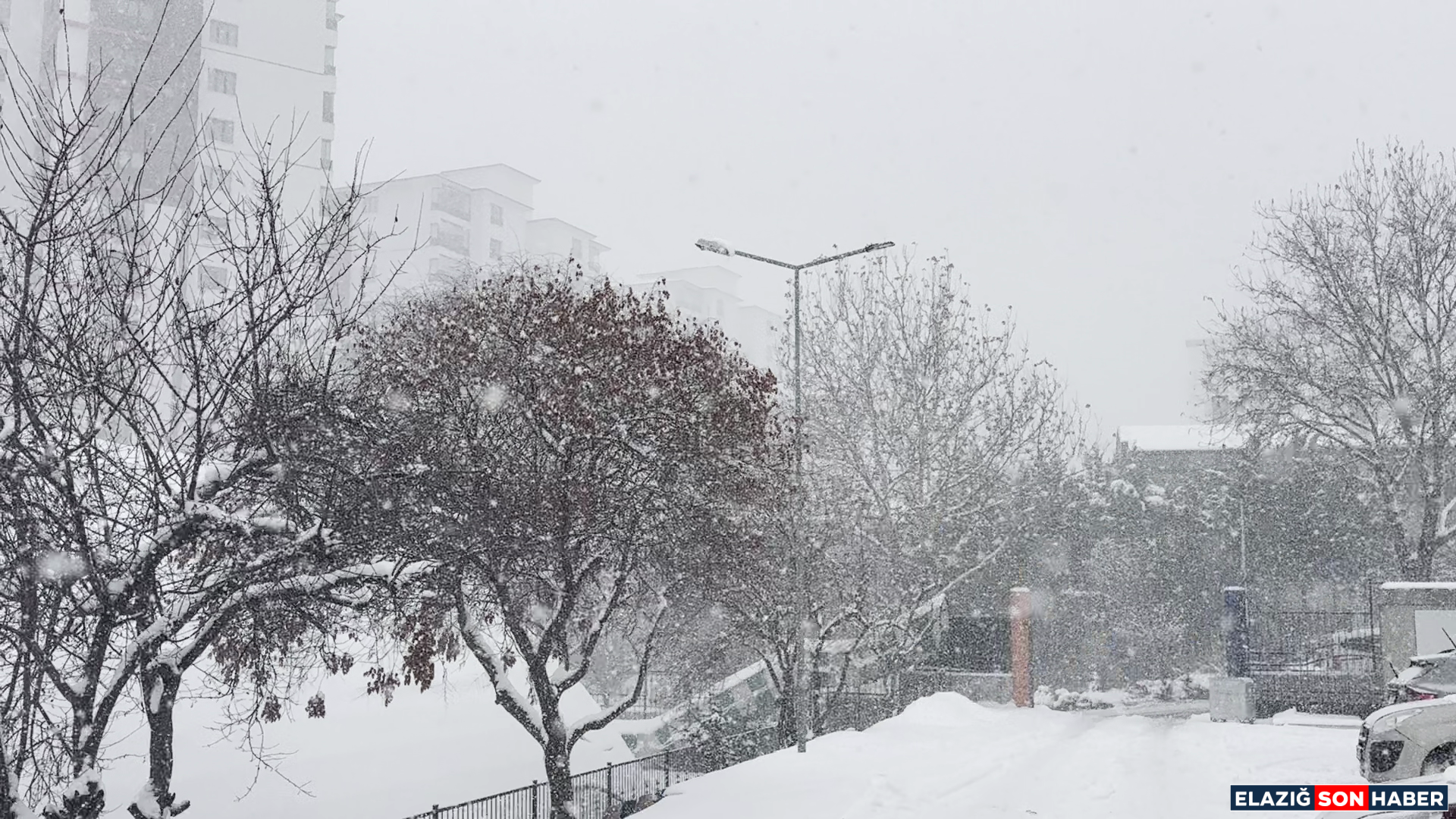 Vlcsnap 2026 01 19 15H53M41S395