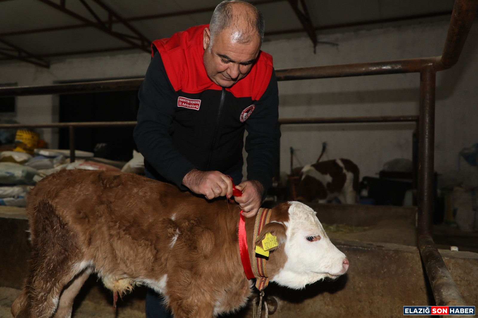 Whatsapp Image 2026 01Dfhh 01 At 12.57.39