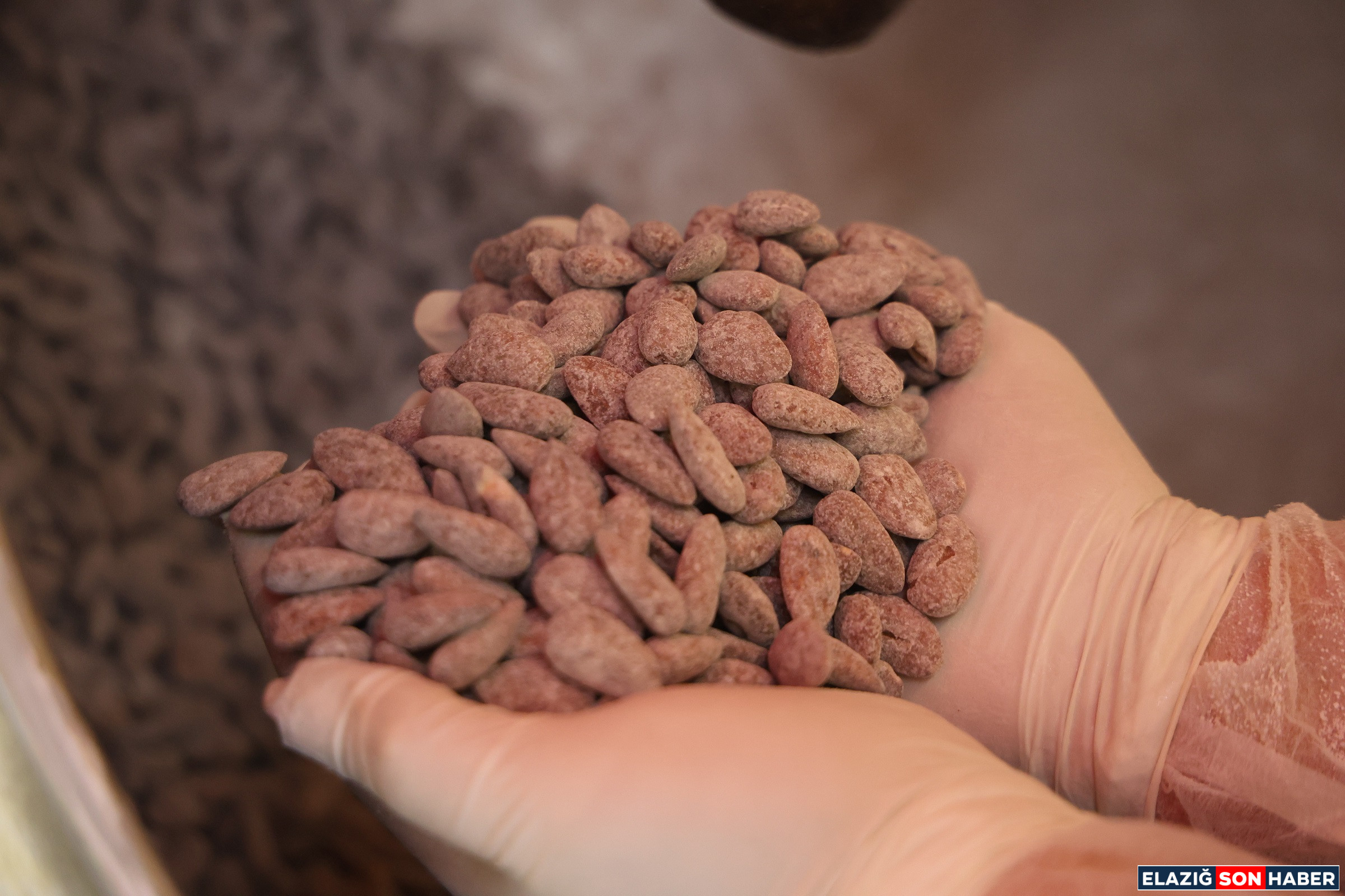 1771747105 Aw647337 02