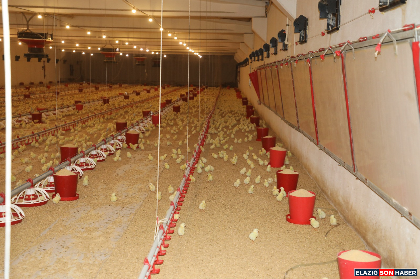 35B6C4C1 A3Bf 4Bce 9A7B 4Dc311F78B15