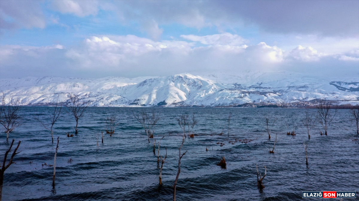 A A 20260211 40518646 40518634 C E V R E S I K A R L A K A P L I H A Z A R G O L U Z I Y A R E T C I L E R I N I A G I R L I Y O R