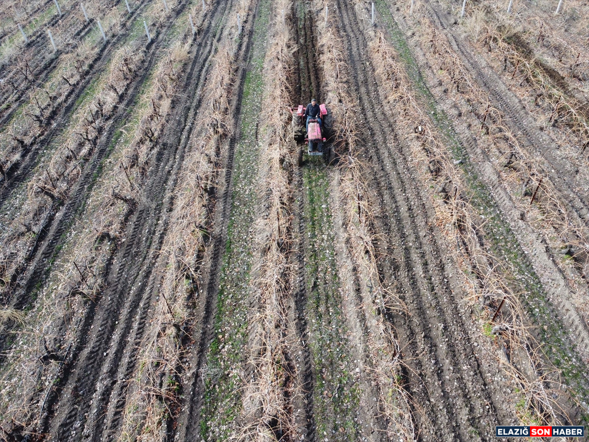 A A 20260224 40650835 40650812 E L A Z I G D A U Z U M U R E T I C I L E R I Y O G U N K A R Y A G I S I N E D E N I Y L E V E R I M D E N U M U T L U