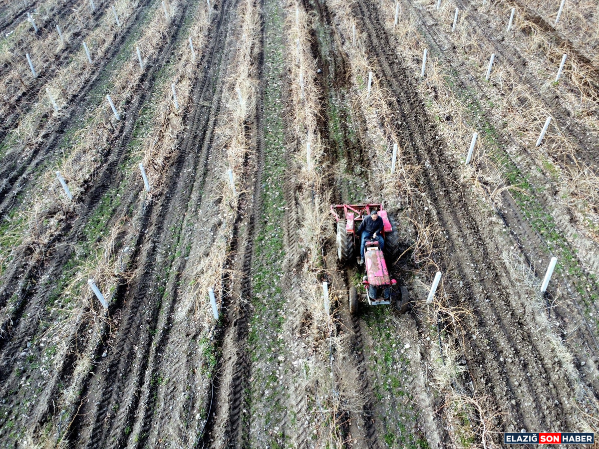 A A 20260224 40650835 40650814 E L A Z I G D A U Z U M U R E T I C I L E R I Y O G U N K A R Y A G I S I N E D E N I Y L E V E R I M D E N U M U T L U