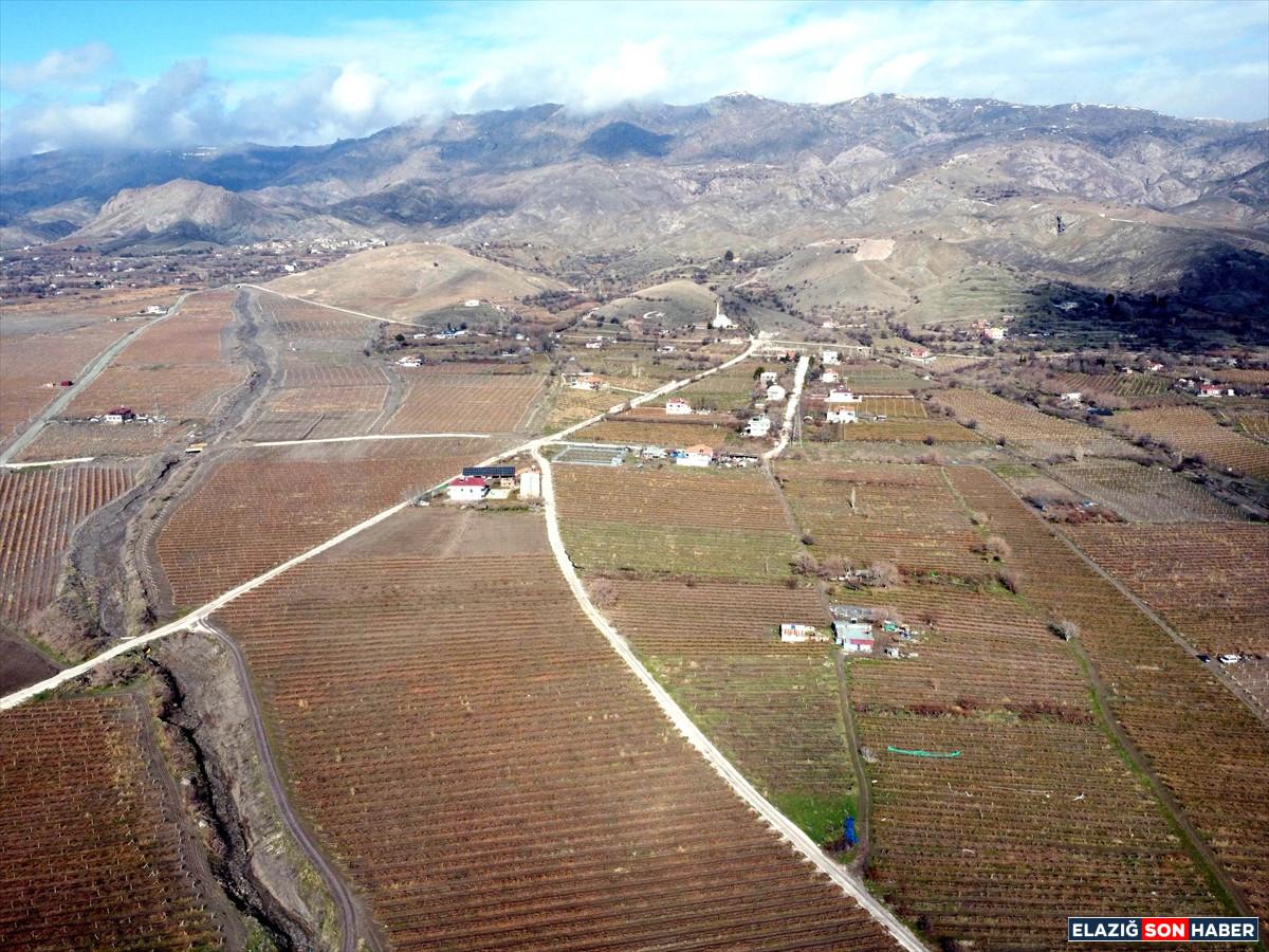 A A 20260224 40650835 40650826 E L A Z I G D A U Z U M U R E T I C I L E R I Y O G U N K A R Y A G I S I N E D E N I Y L E V E R I M D E N U M U T L U