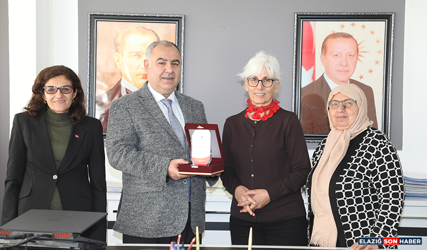 Untitled 1 Recovered Recovered-388