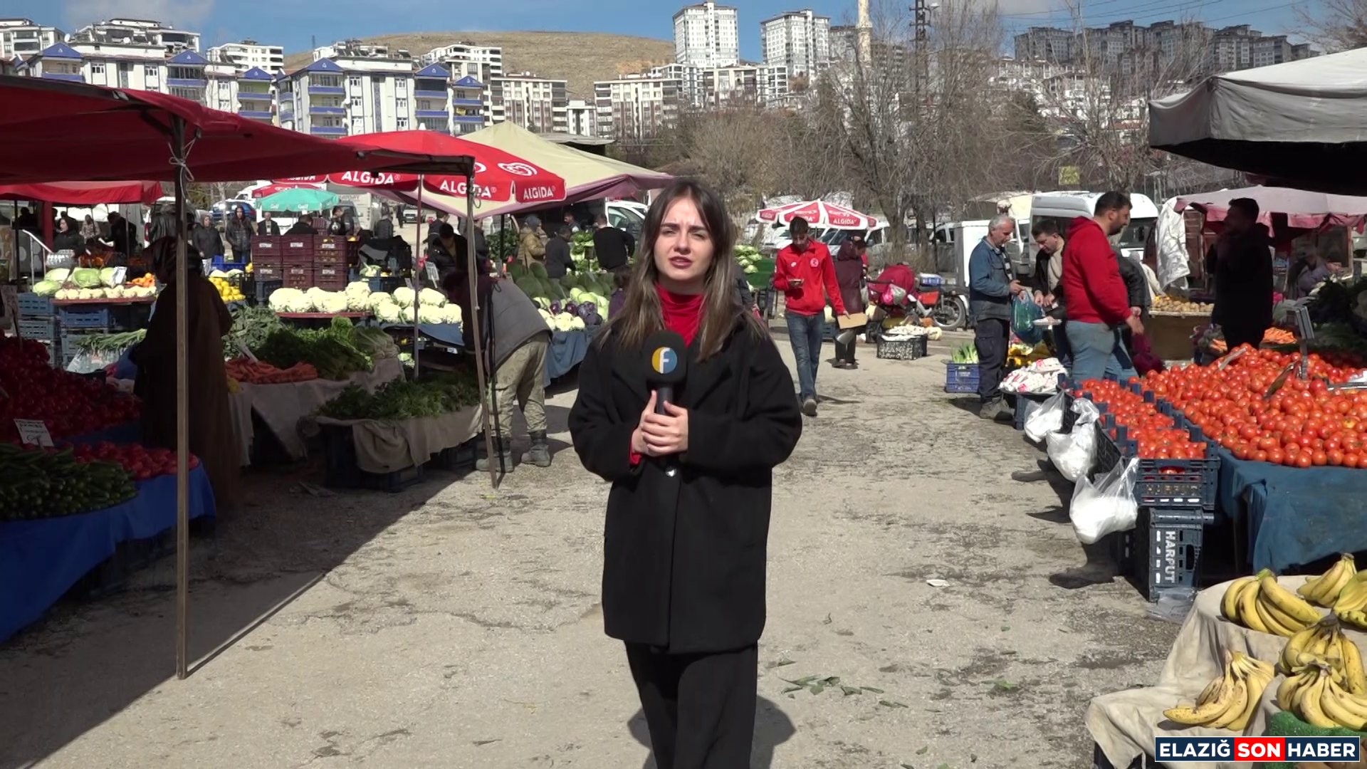 Vlcsnap 2026 02 15 19H23M38S371