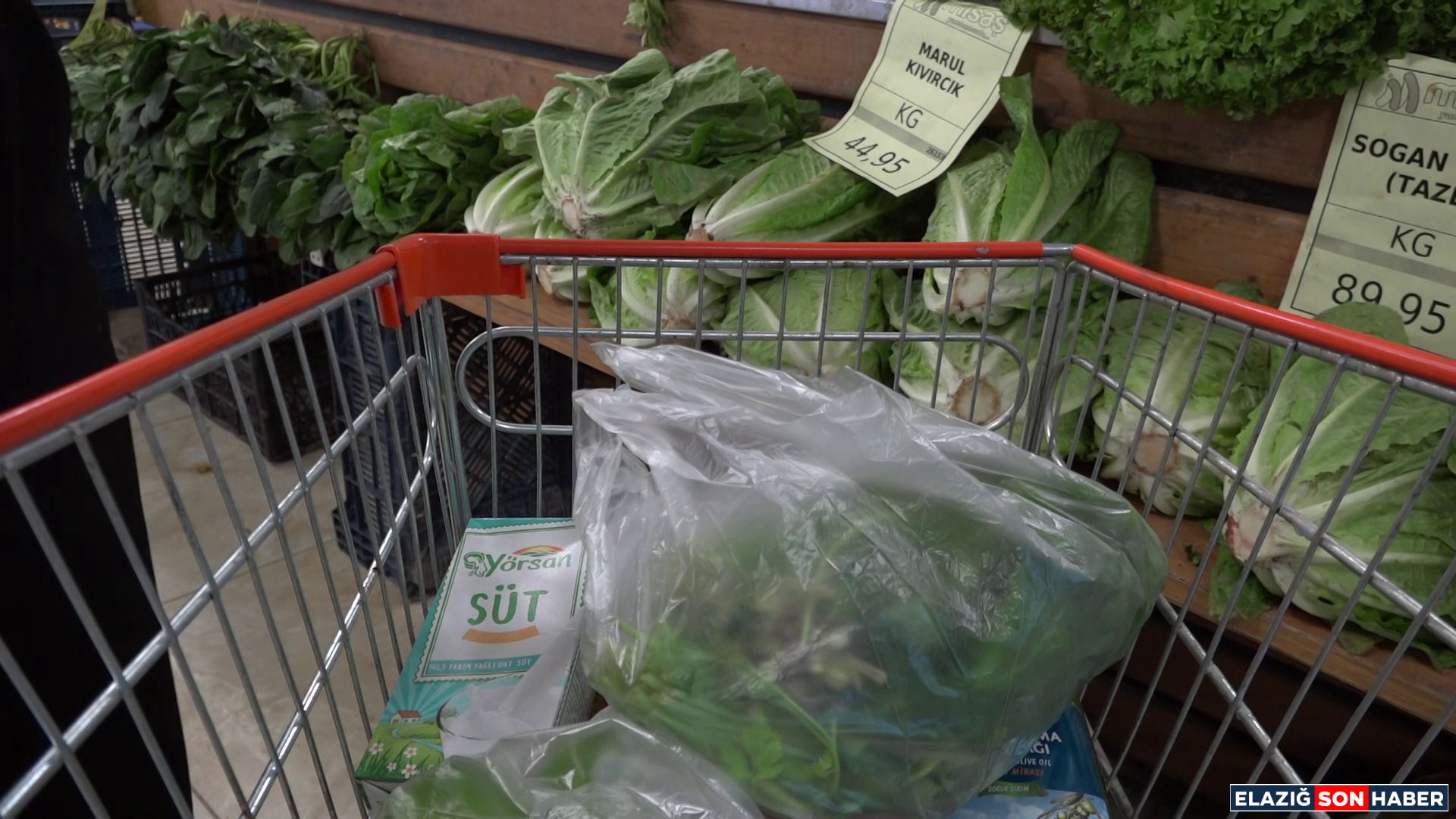 Vlcsnap 2026 02 15 19H37M41S207