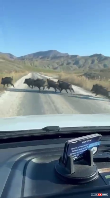 Vlcsnap 2026 02 24 14H32M10S061