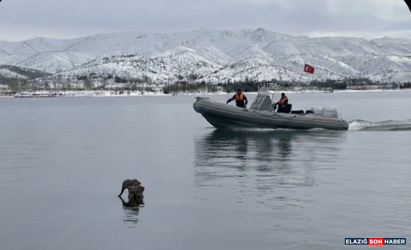 Whatsapp Image 2026 02 02 At 17.56.23