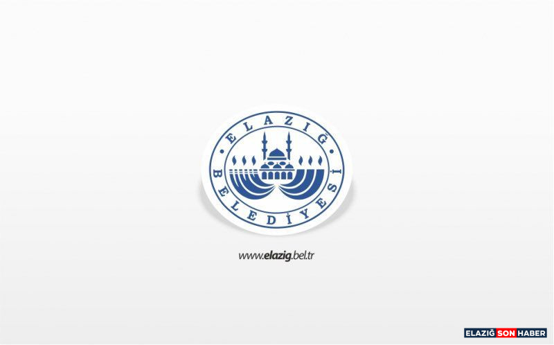 Whatsapp Image 2026 02 11 At 13.04.56