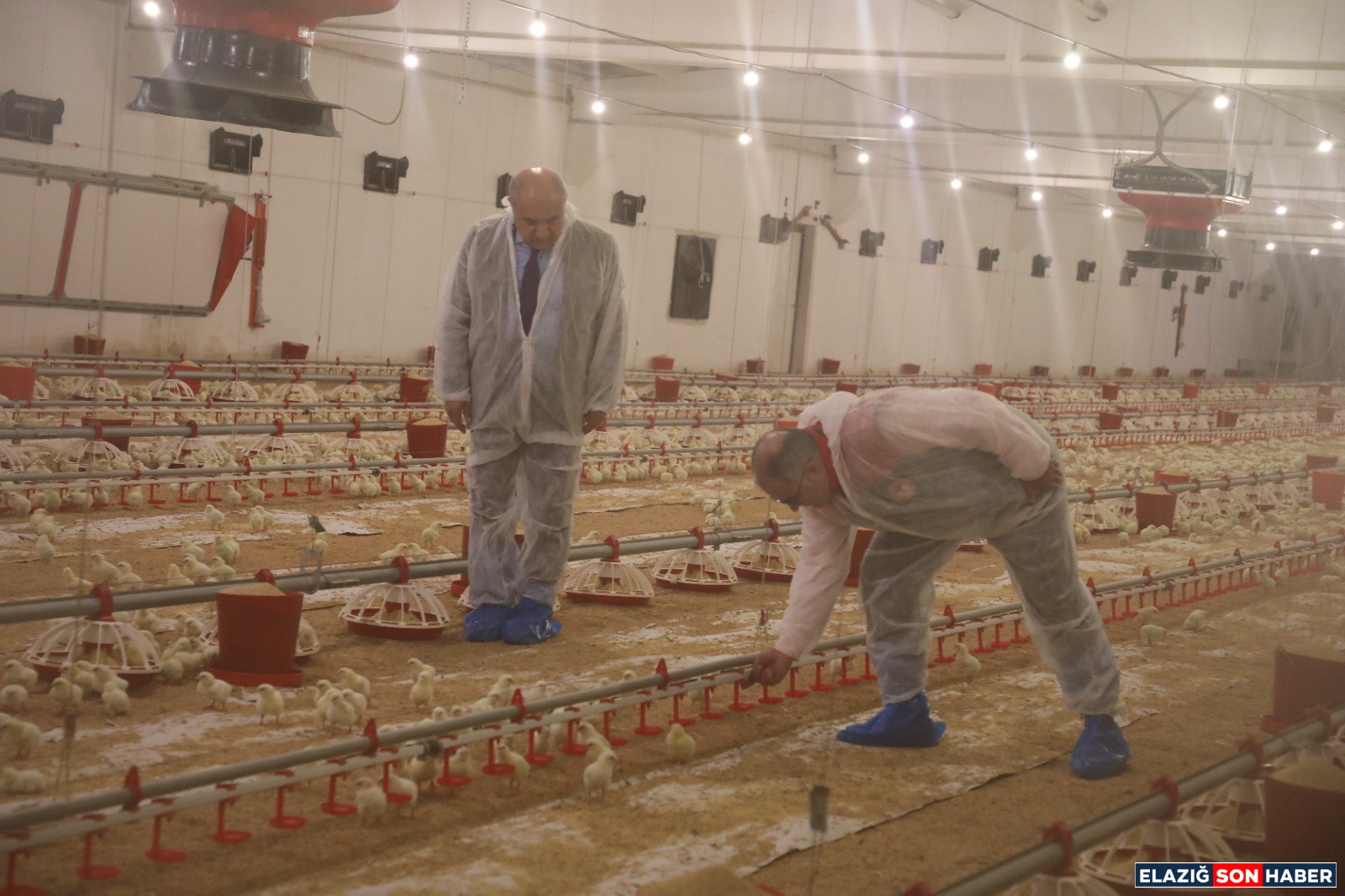 Whatsapp Image 2026 02 13 At 18.24.27