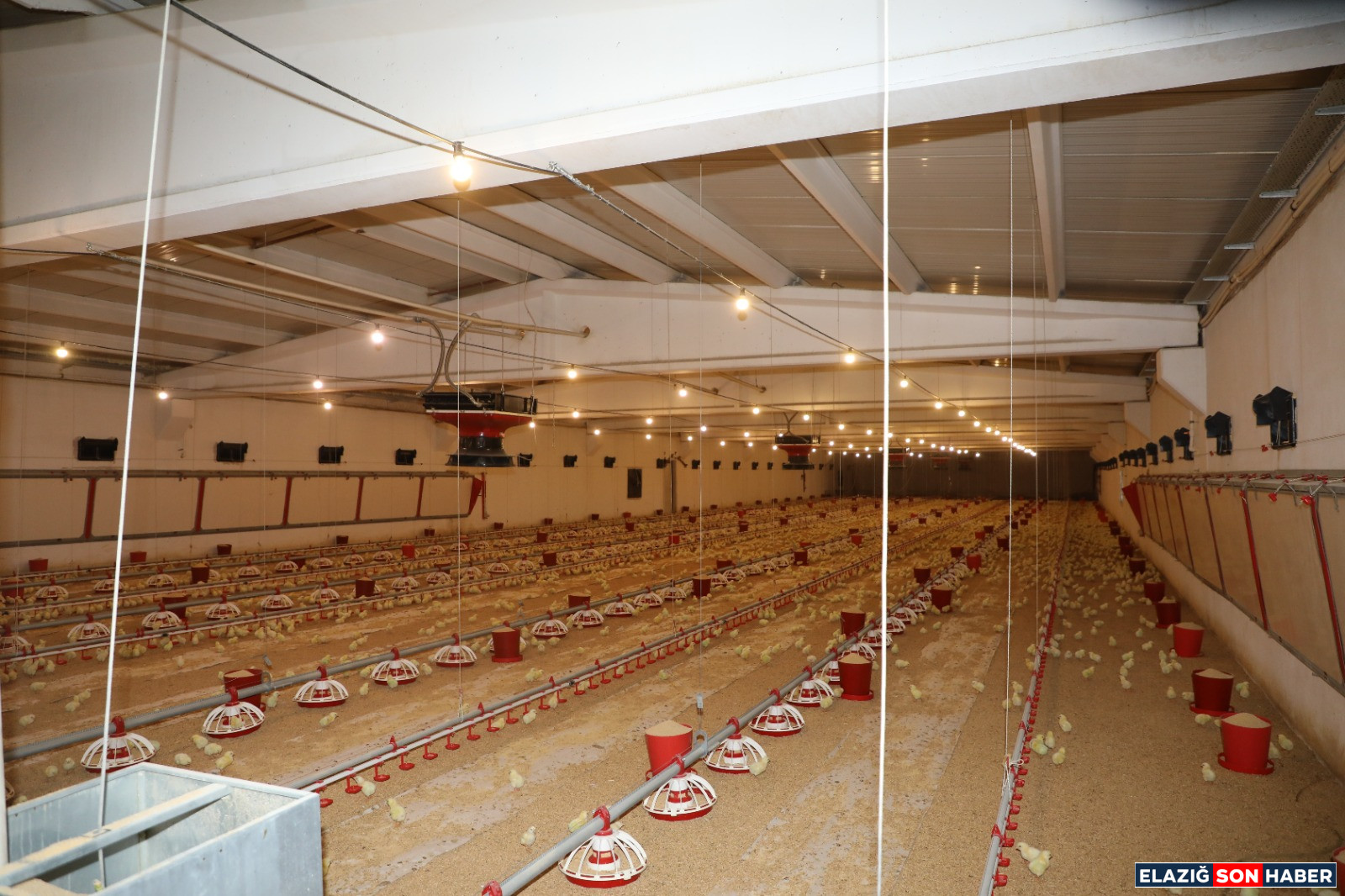 Whatsapp Image 2026 02 13 At 18.24.30