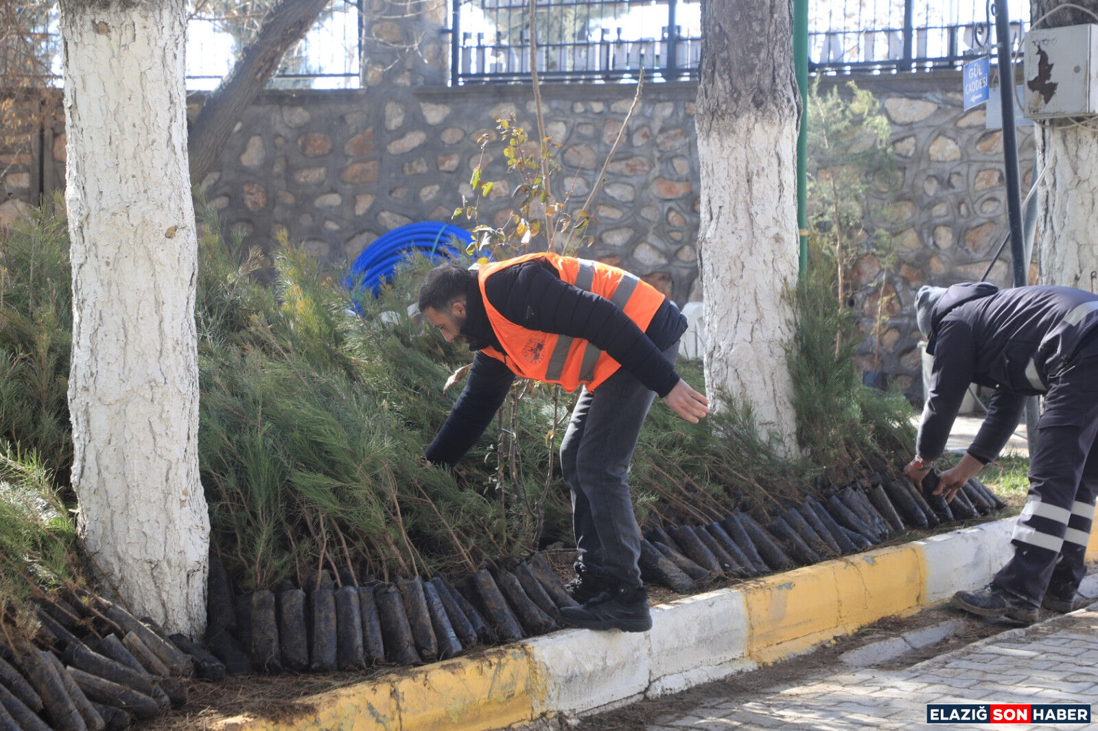 Whatsapp Image 2026 02 28 At 17.32.15 (1)