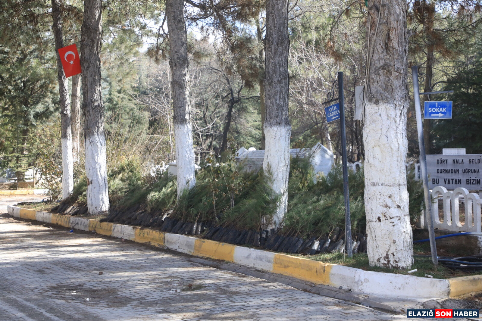 Whatsapp Image 2026 02 28 At 17.32.15