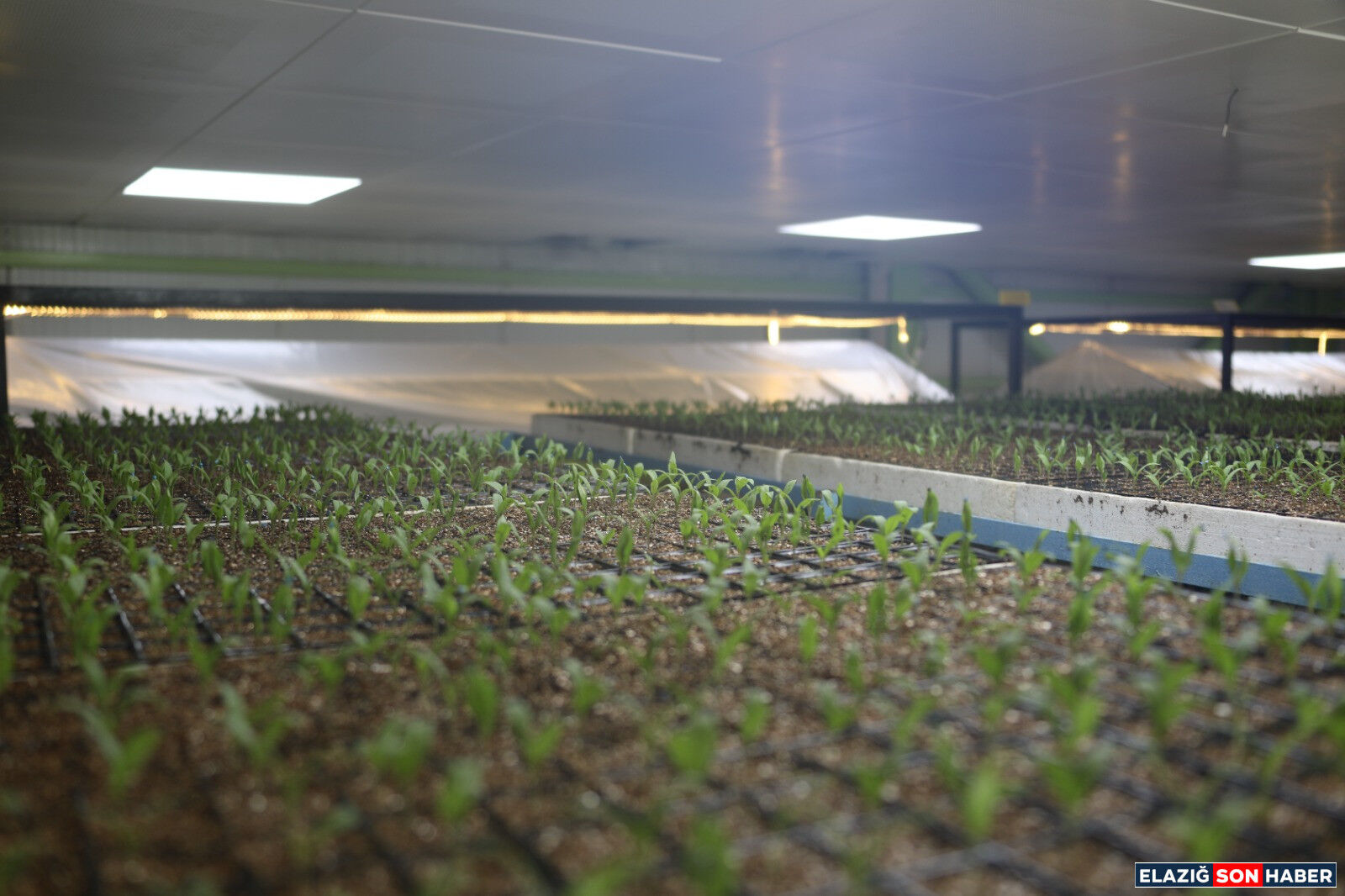 31032026 Bulten 1 1774955661 Pvb O0R