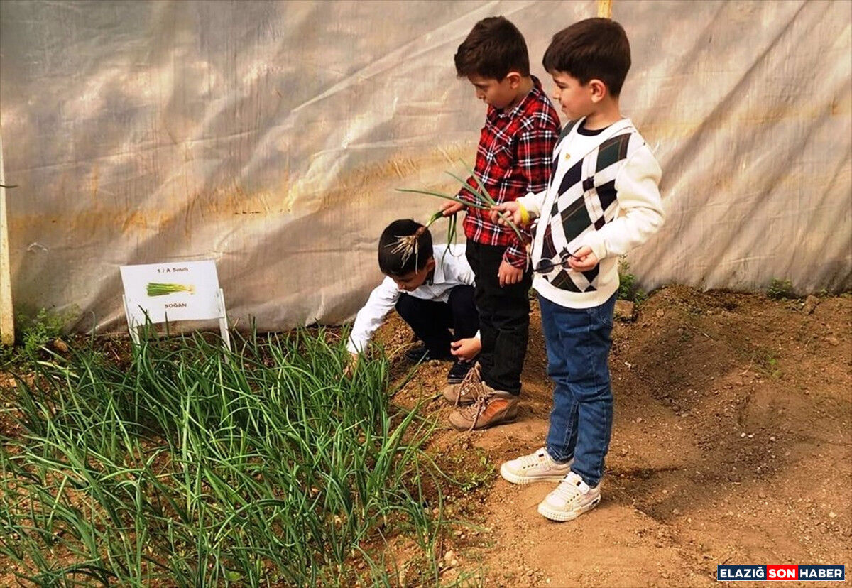 A A 20260311 40791923 40791919 K E B A N D A O G R E N C I L E R S E R A D A U R E T I M Y A P I Y O R