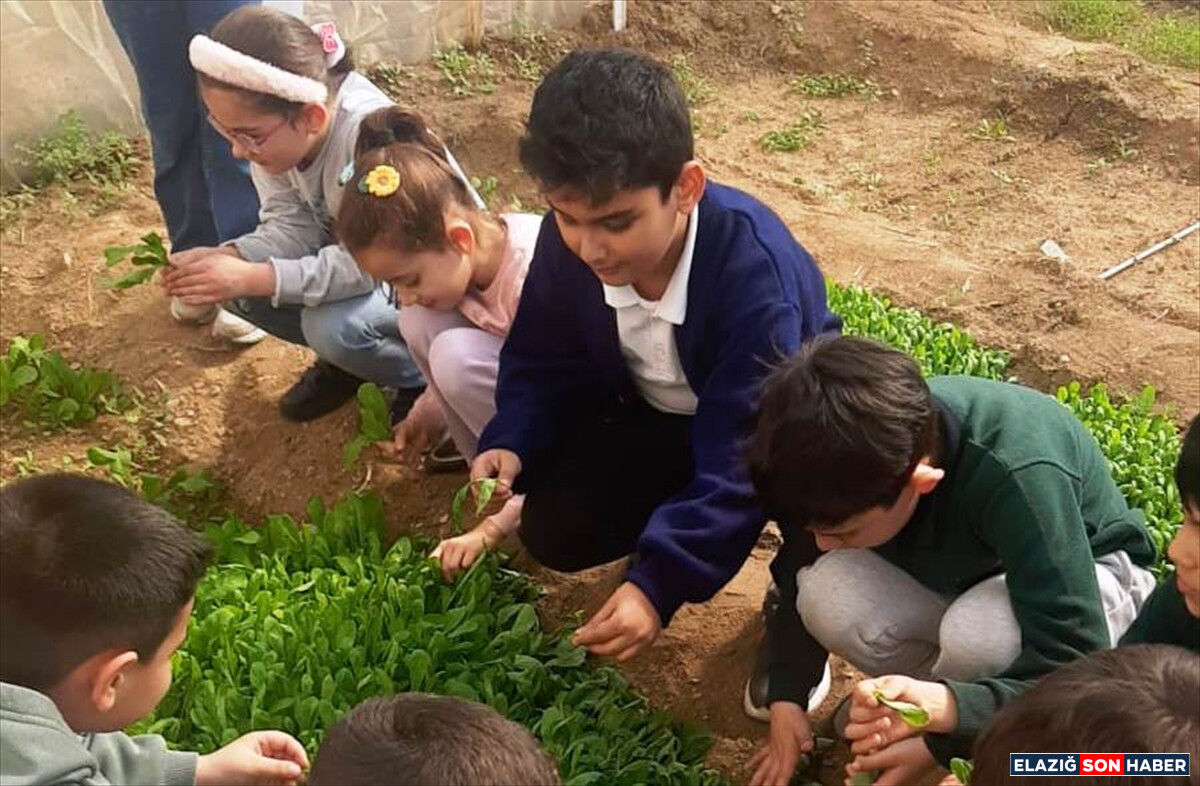 A A 20260311 40791923 40791921 K E B A N D A O G R E N C I L E R S E R A D A U R E T I M Y A P I Y O R