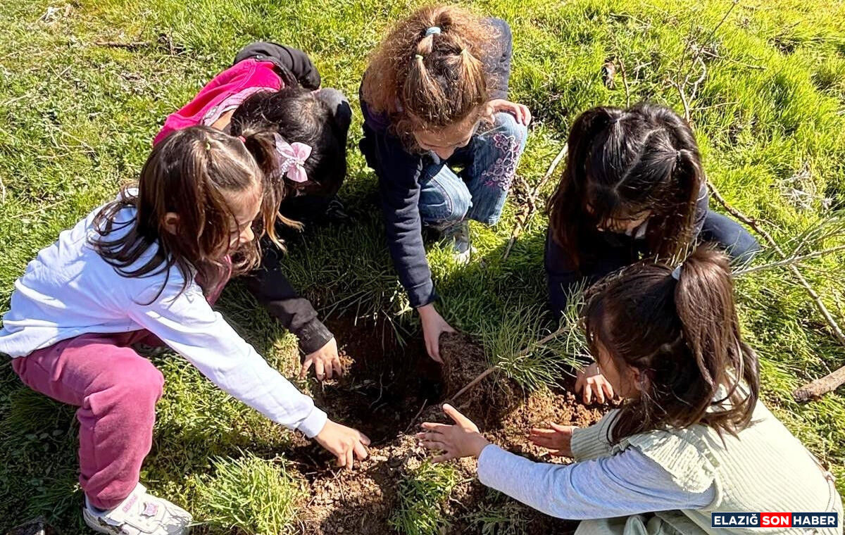 A A 20260326 40926949 40926948 K E B A N D A O G R E N C I L E R F I D A N D I K T I