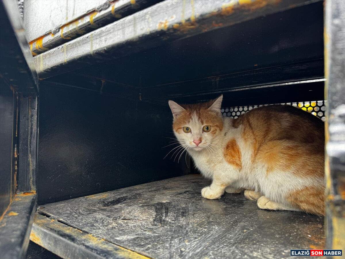 A A 20260326 40932969 40932968 E L A Z I G D A Y A R A L I H A L D E B U L U N A N K E D I T E D A V I A L T I N A A L I N D I