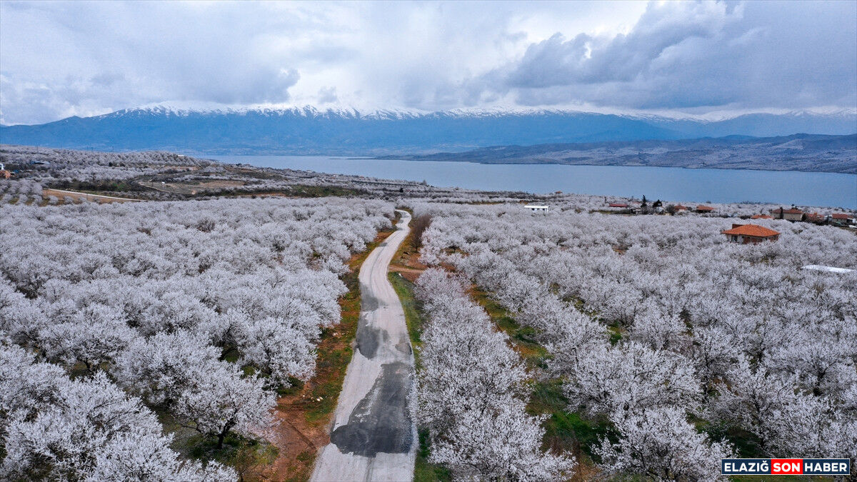 A A 20260331 40972340 40972320 E L A Z I G D A C I C E K L E N E N K A Y I S I B A H C E L E R I N D E U R E T I C I L E R I N I L A C L A M A M E S A I S I B A S L A D I