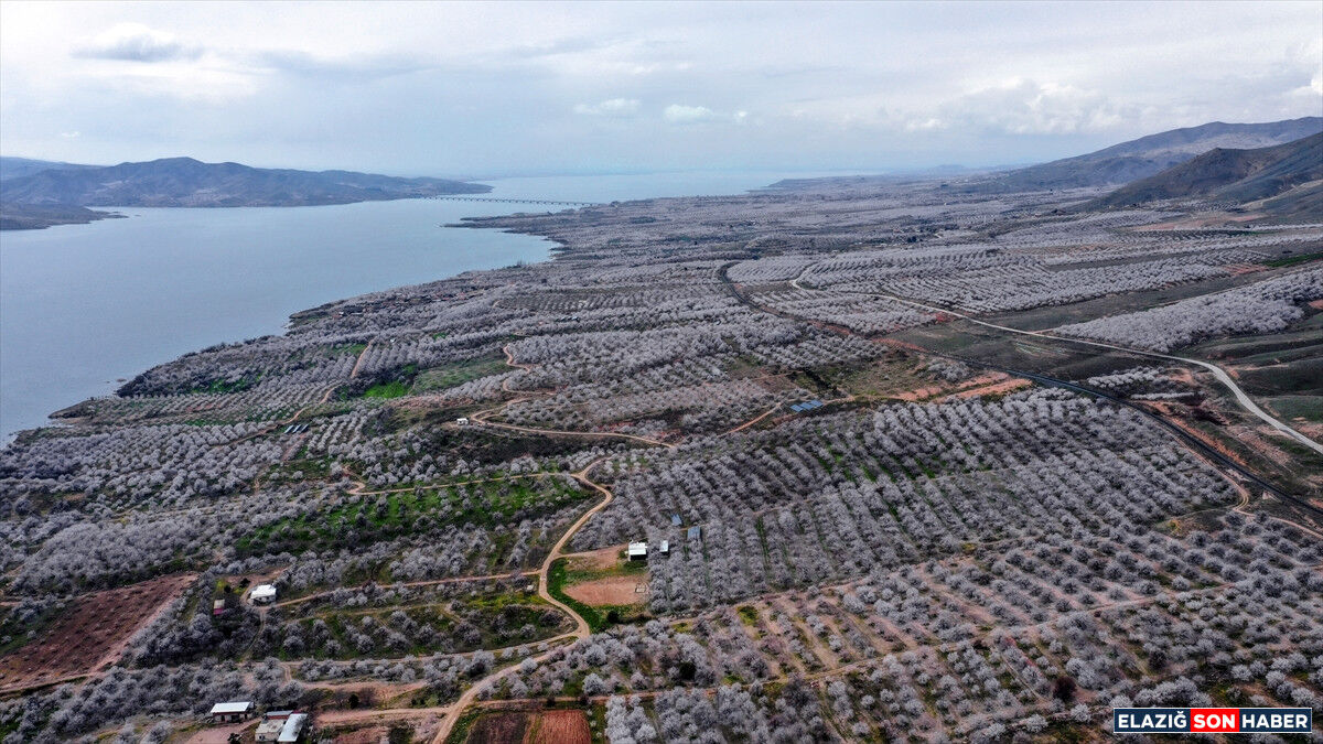 A A 20260331 40972340 40972329 E L A Z I G D A C I C E K L E N E N K A Y I S I B A H C E L E R I N D E U R E T I C I L E R I N I L A C L A M A M E S A I S I B A S L A D I