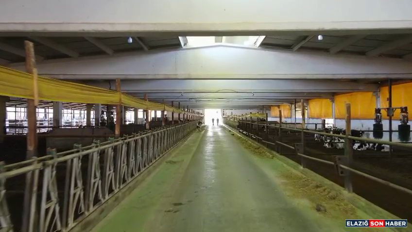 Vlcsnap 2026 03 13 11H07M24S180