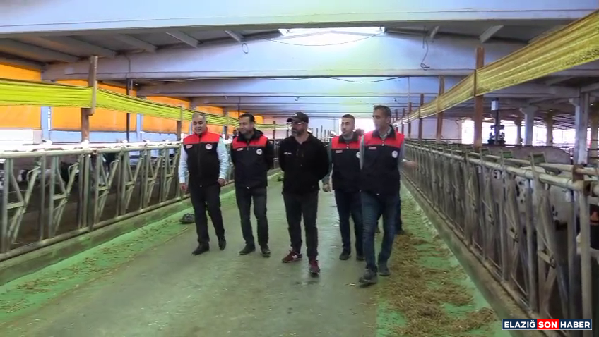 Vlcsnap 2026 03 13 11H07M51S153