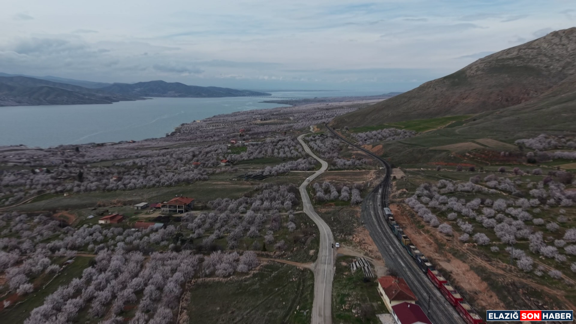 Vlcsnap 2026 03 24 14H45M50S185