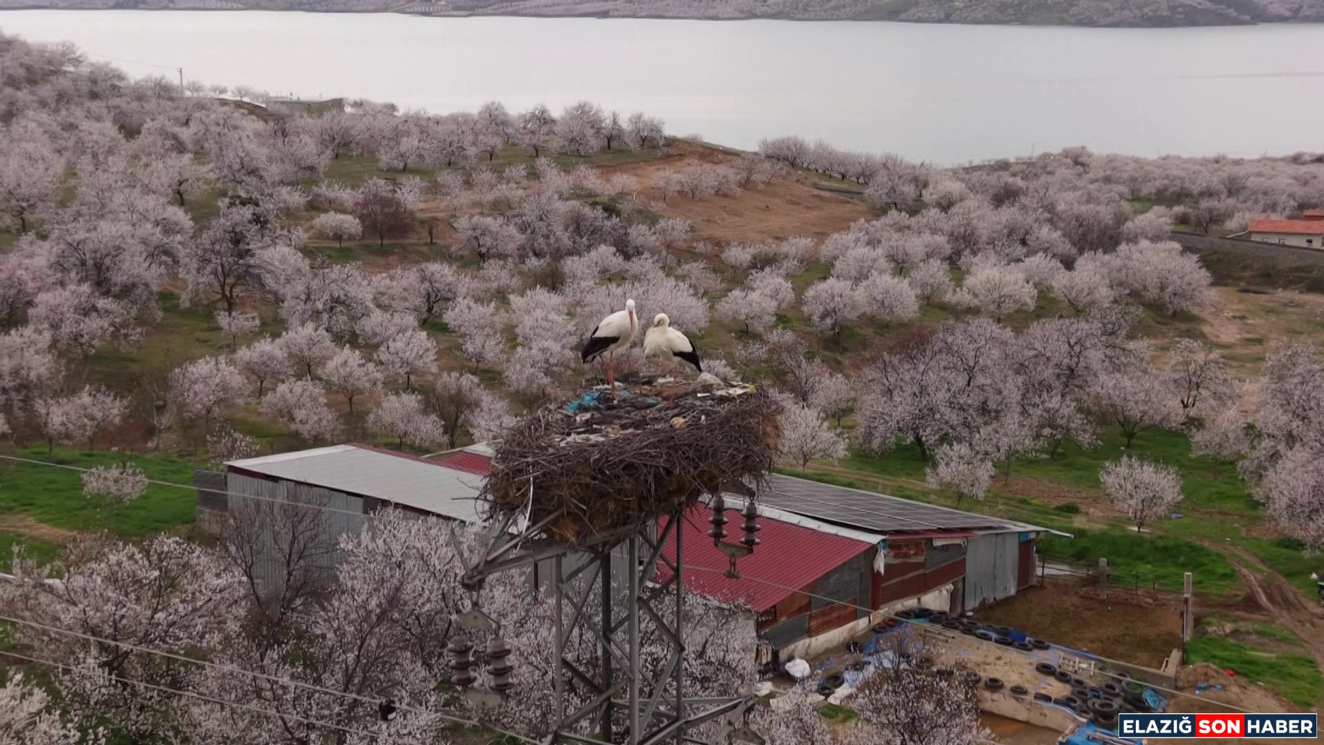 Vlcsnap 2026 03 24 14H46M27S763