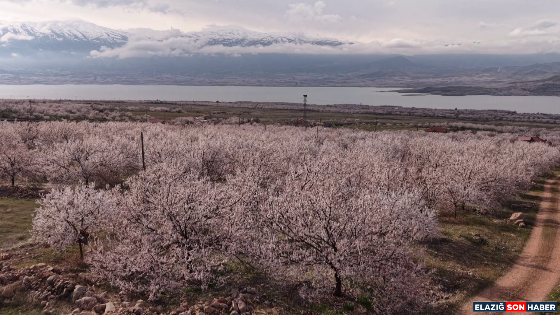 Vlcsnap 2026 03 24 14H46M54S039