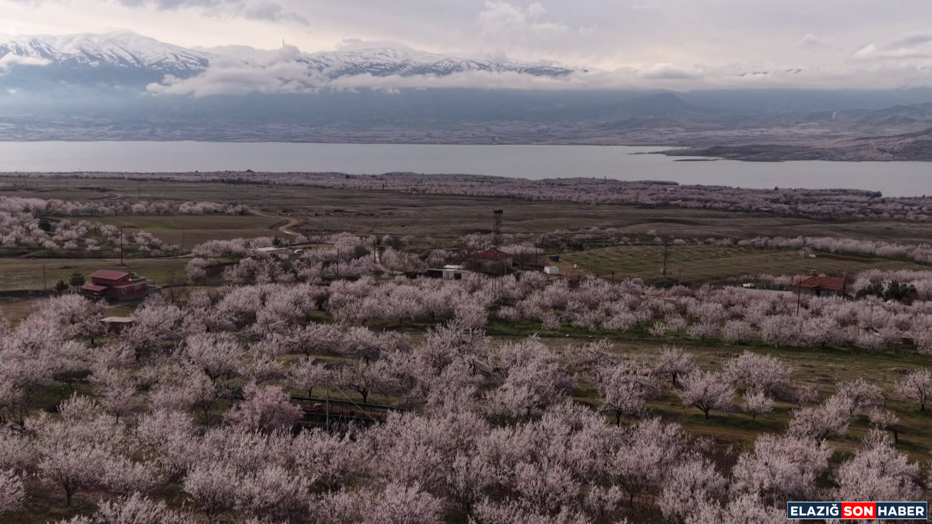 Vlcsnap 2026 03 24 14H47M00S928