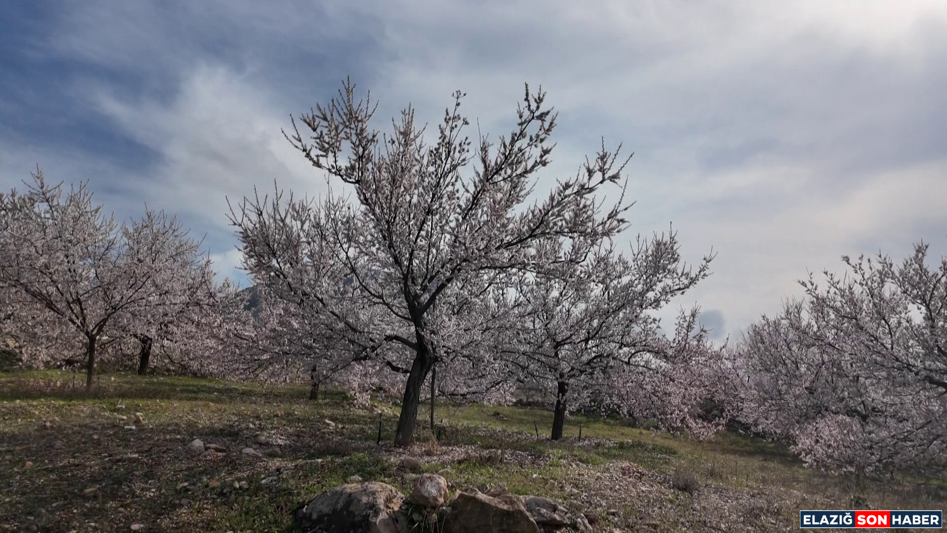 Vlcsnap 2026 03 24 14H47M13S619