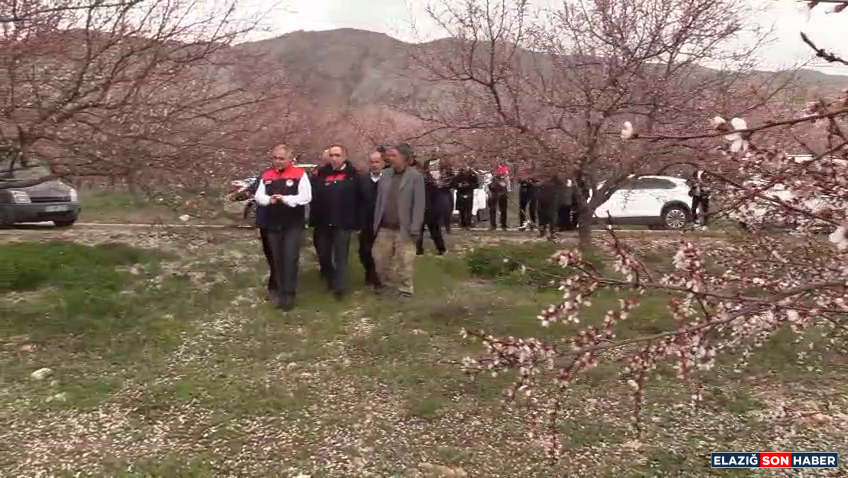 Vlcsnap 2026 03 26 17H54M04S517