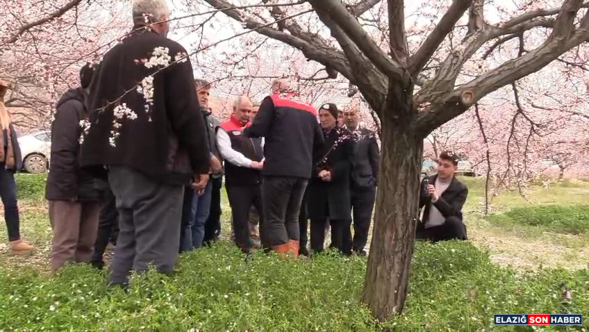 Vlcsnap 2026 03 26 17H54M11S468