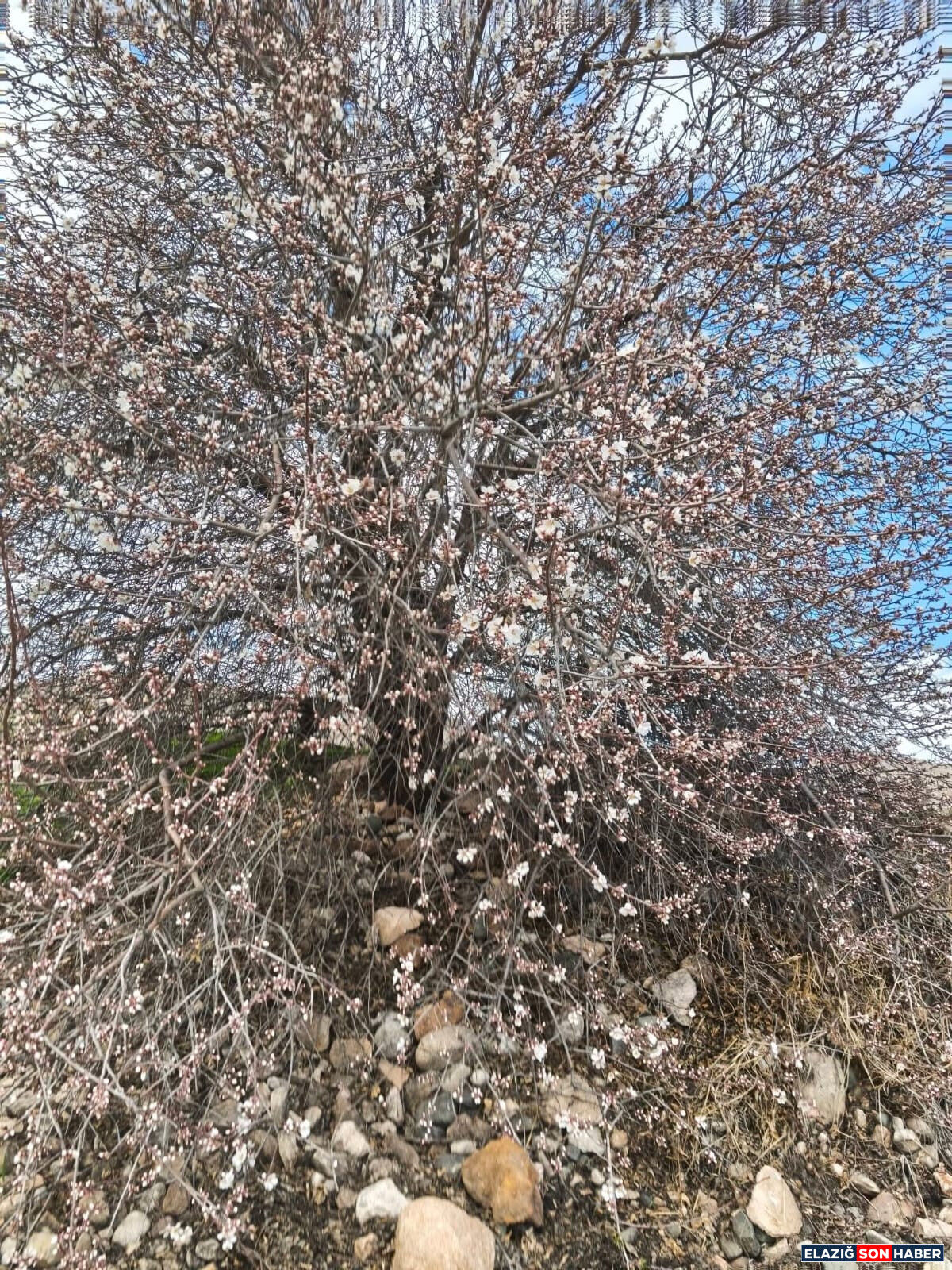 Whatsapp Image 2026 03 04 At 17.23.02