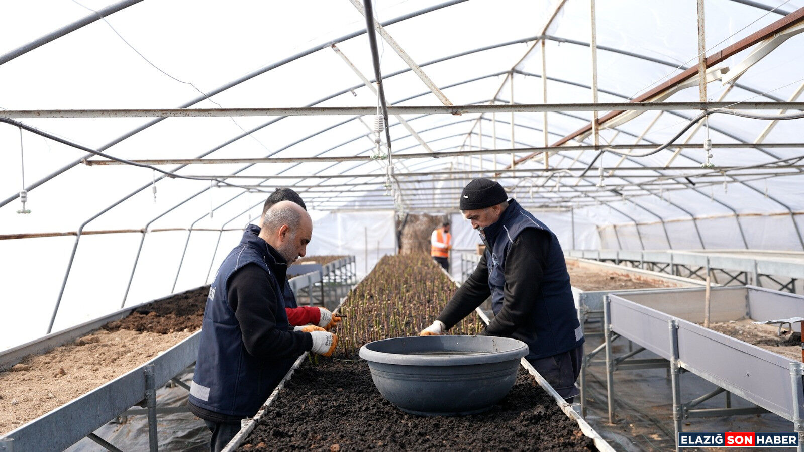 Whatsapp Image 2026 03 10 At 14.19.57