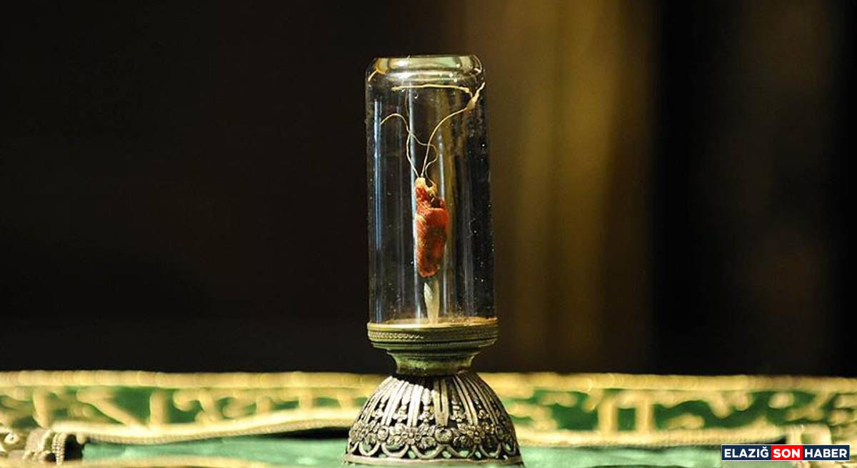 Whatsapp Image 2026 03 12 At 22.36.48