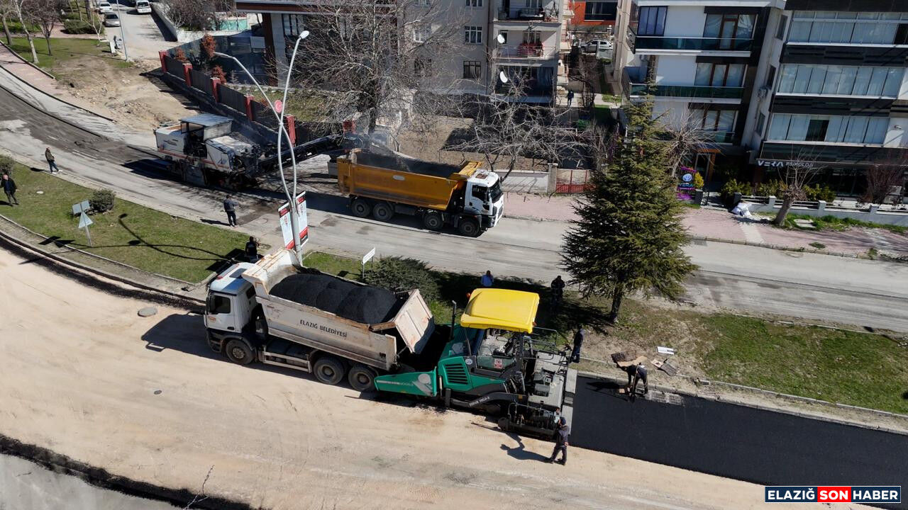 Whatsapp Image 2026 03 29 At 11.56.19 (1)