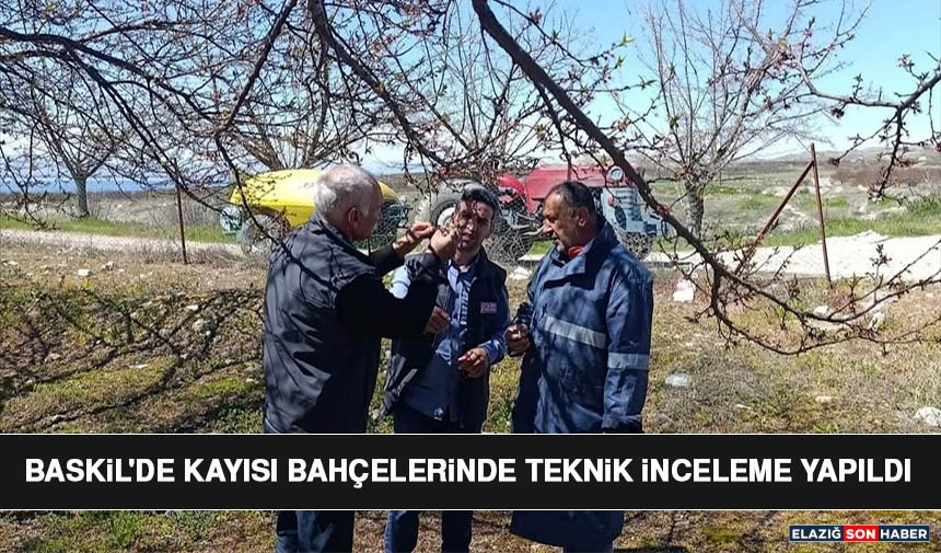 Baskil'de Kayısı Bahçelerinde Teknik İnceleme Yapıldı