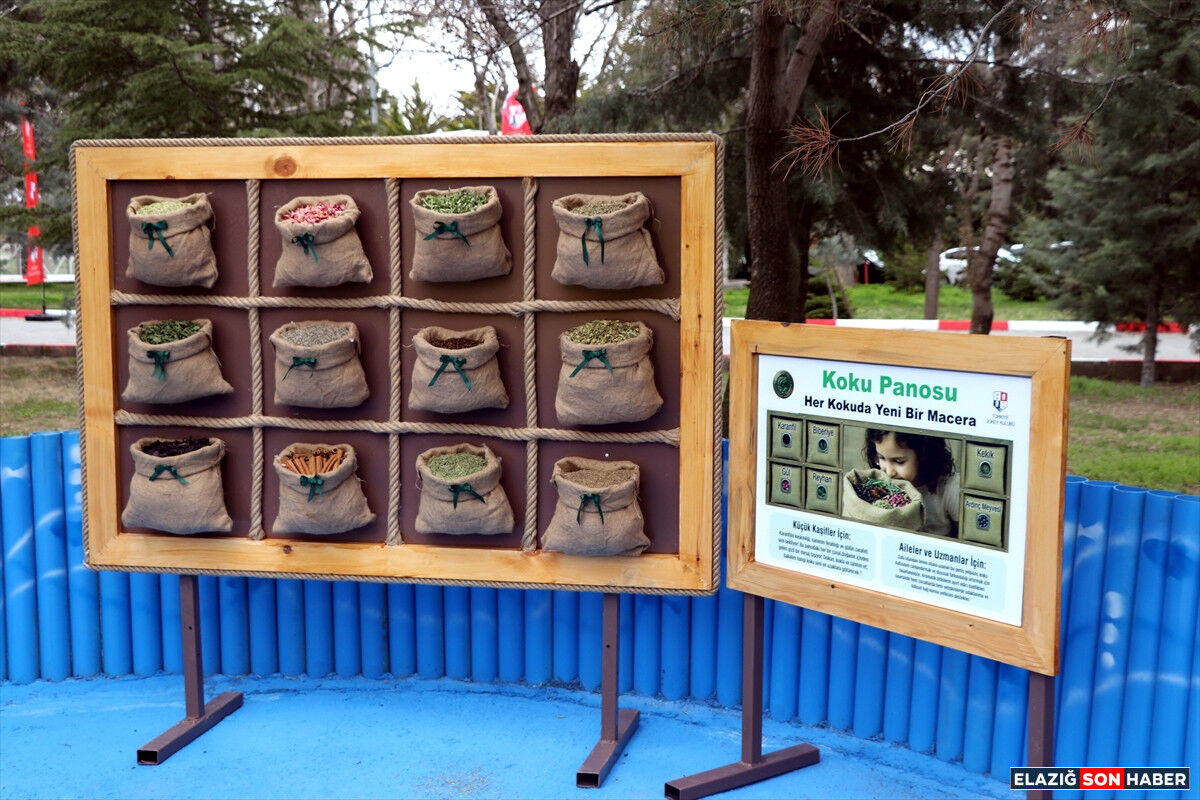 A A 20260401 40988194 40988189 E L A Z I G D A I L E R I D O N U S U M O D A K L I A T L A T E R A P I V E D U Y U B U T U N L E M E K A M P U S U A C I L D I