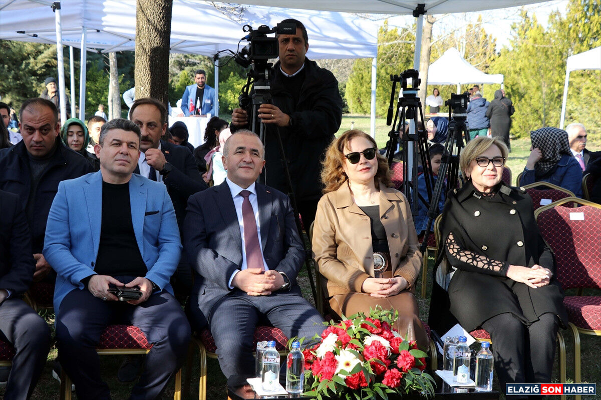 A A 20260401 40988194 40988193 E L A Z I G D A I L E R I D O N U S U M O D A K L I A T L A T E R A P I V E D U Y U B U T U N L E M E K A M P U S U A C I L D I