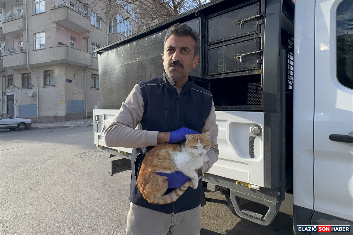 A A 20260402 40995433 40995432 E L A Z I G D A Y A R A L I H A L D E B U L U N A N K E D I N I N T E D A V I S I T A M A M L A N D I