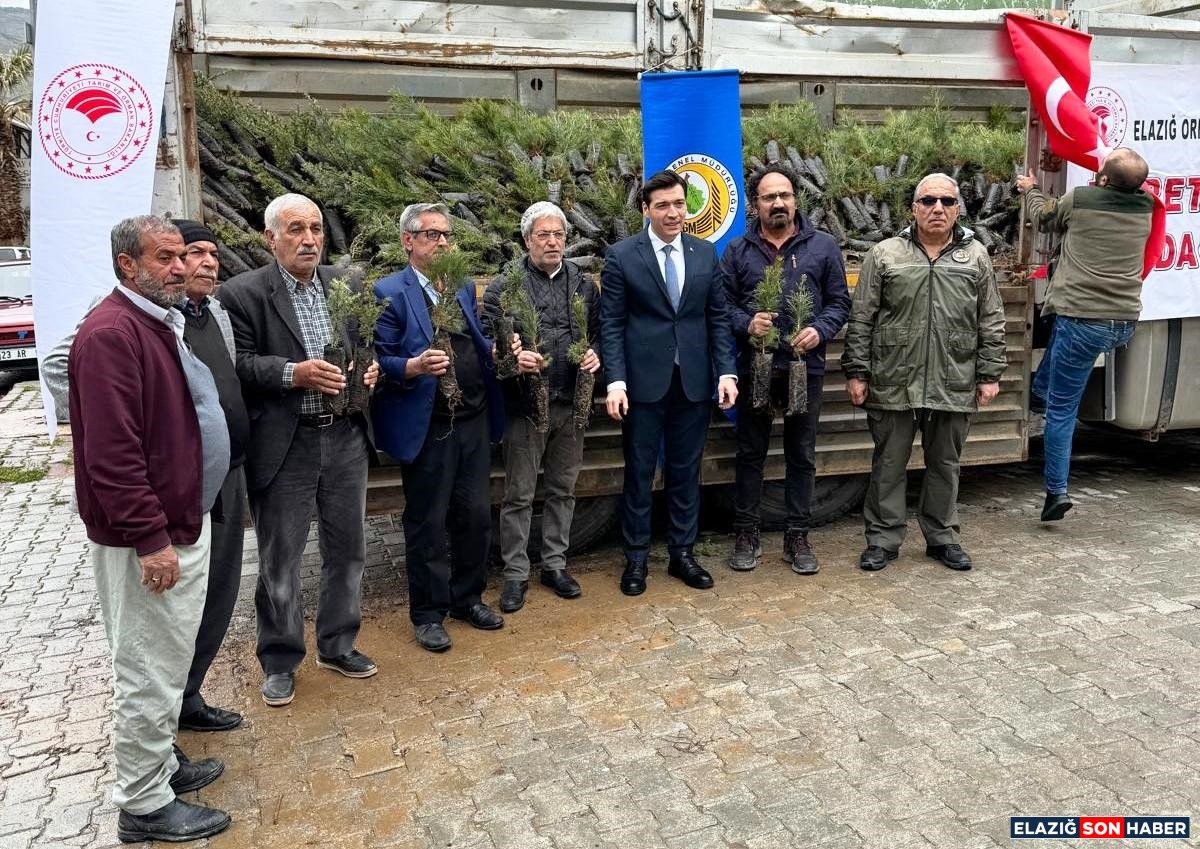 A A 20260410 41072795 41072794 K E B A N D A V A T A N D A S L A R A 20 B I N F I D A N D A G I T I L D I