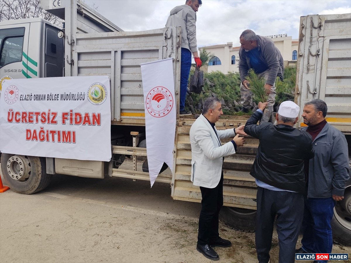 A A 20260411 41079662 41079661 B A S K I L D E V A T A N D A S L A R A 20 B I N F I D A N D A G I T I L D I