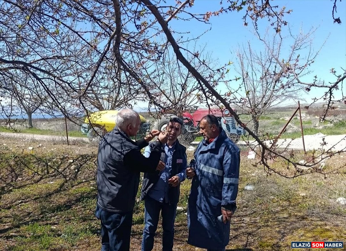 A A 20260411 41080033 41080031 B A S K I L D E K A Y I S I B A H C E L E R I N D E T E K N I K I N C E L E M E Y A P I L D I